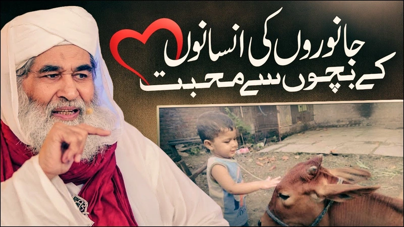 Bachon Ki Janwar Se Muhabat | Bakra Eid Viral Video | Qurbani Ke Masail | Maulana Ilyas Qadri Bayan